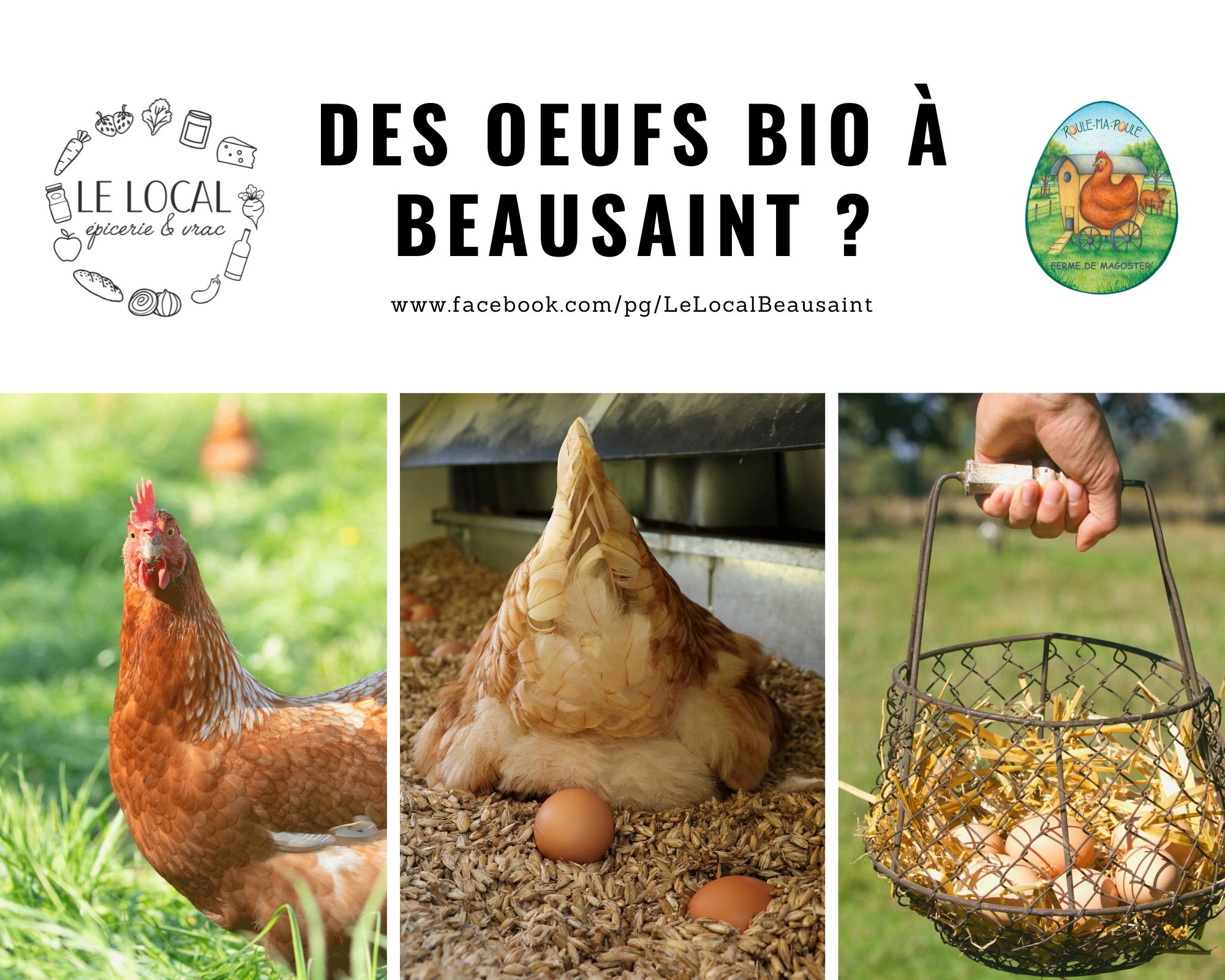 Oeufs bio à La Roche-en-Ardenne